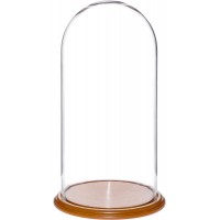 Plymor Brand 11.75" x 23" Glass Display Dome Cloche (Oak Veneer Base) 840003144376  192572317196